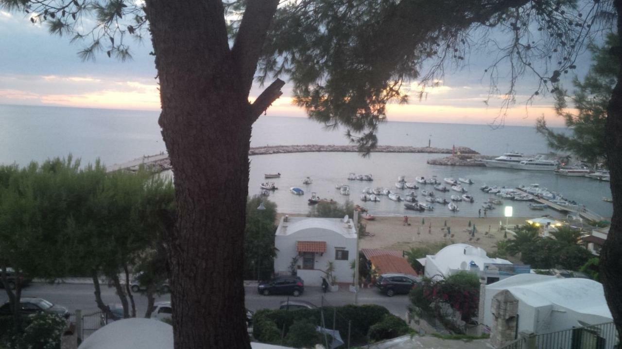 Blu Marine Casa A 10Mt Dalla Spiaggia Peschici Exterior foto