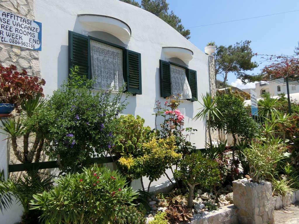 Blu Marine Casa A 10Mt Dalla Spiaggia Peschici Exterior foto