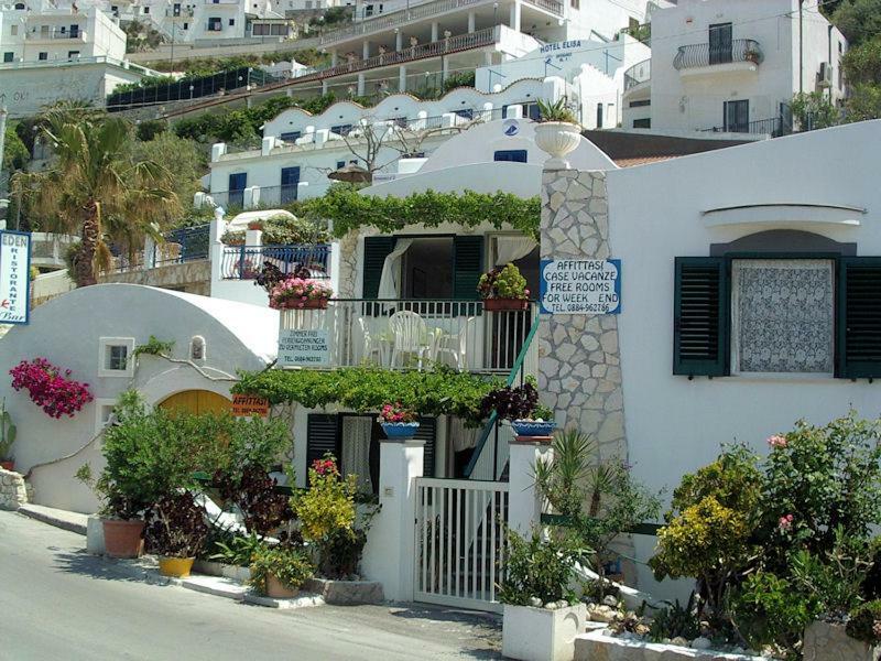 Blu Marine Casa A 10Mt Dalla Spiaggia Peschici Exterior foto